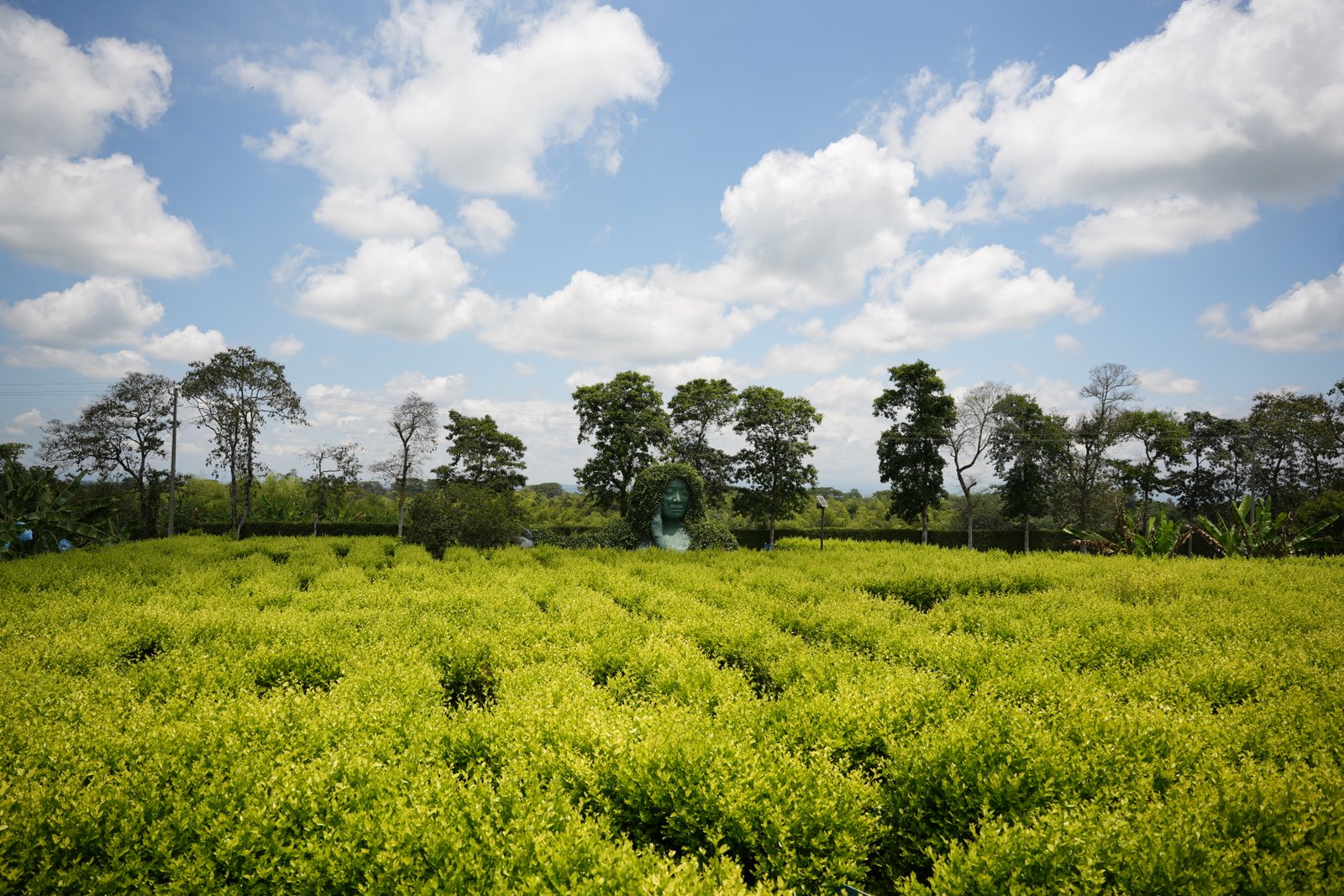 Vistas de Inmensidad